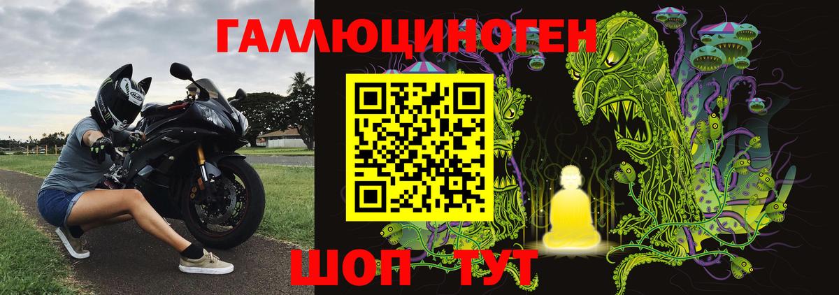 Псилоцибиновые грибы Psilocybine cubensis Стрежевой